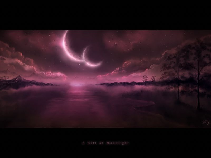 Article image-28
