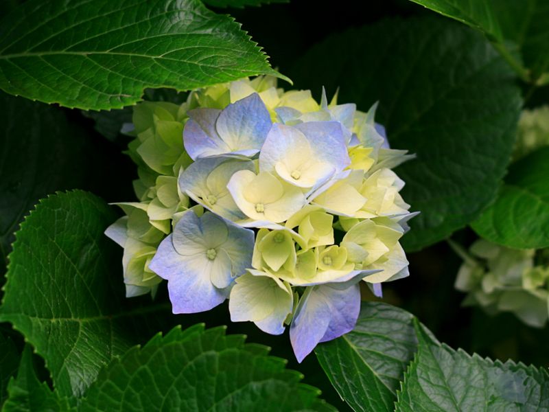 Article image-1